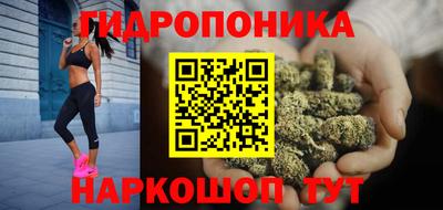 винт Шелехов