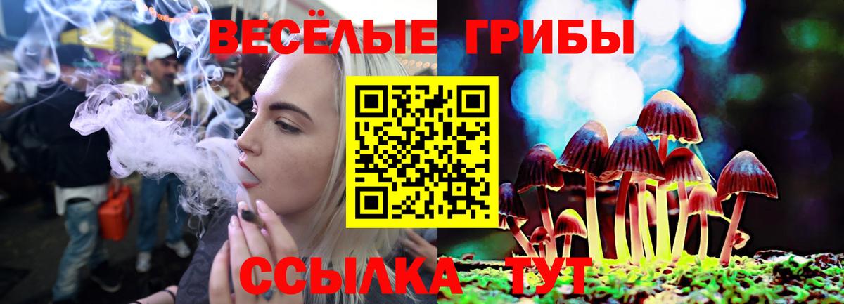 Псилоцибиновые грибы ЛСД  Вход с VPN  Смоленск  Псилоцибиновые грибы Psilocybe 